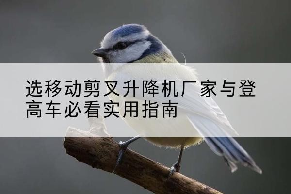 东昌电动升降机厂家-选移动剪叉升降机厂家与登高车必看实用指南