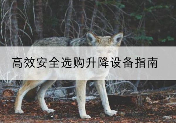 东昌升降货梯厂家推荐-*安全选购升降设备指南